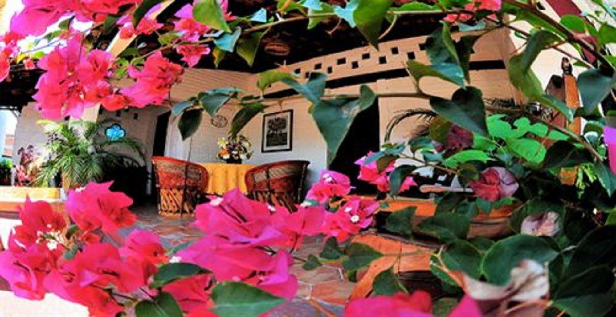 Hotel Villa Del Mar Tradicional Пуэрто-Вальярта Экстерьер фото